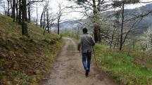  Wanderroute entlang des Eichbergs 