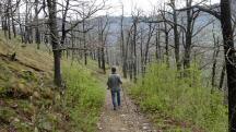  Wanderroute entlang des Eichbergs 