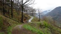  Blick auf die Wanderstrecke zum Zornberg 