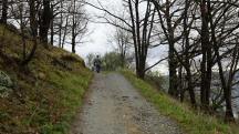  Blick auf die Wanderstrecke auf dem Zornberg 