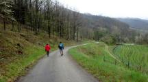Wanderroute auf dem Zornbergweg nach Gut am Steg 
