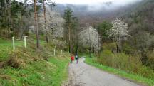 Wanderroute auf dem Zornbergweg nach Gut am Steg 