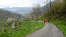 Wanderroute auf dem Zornbergweg nach Gut am Steg 