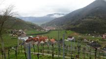  schner Fernblick nach Spitz 