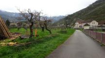  Blick auf die Wanderstrecke entlang des Spitzer Bach 