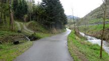  Blick auf die Wanderstrecke entlang des Spitzer Bach 