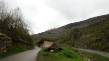  Blick auf die Wanderstrecke entlang des Spitzer Bach 