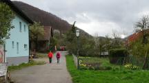  Blick auf die Wanderstrecke in Elsarn am Jauerling 