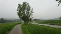 Marathonroute entlang des Michelbach nach Weisching 