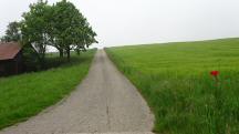  Blick auf die Wanderstrecke 