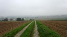 Blick auf die Wanderstrecke zur Kellergasse Untergrafendorf
