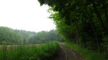  Blick auf die Wanderstrecke 
