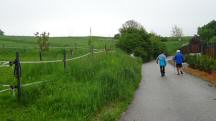  Blick auf die Wanderstrecke in Mechters 