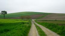  Blick auf die Wanderstrecke 