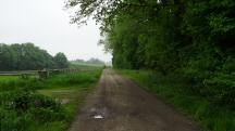  Blick auf die Wanderstrecke bei Untertiefenbach 