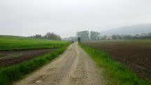  Blick auf die Wanderstrecke 
