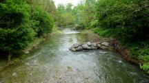  der Blick vom Steg auf den Michelbach flussabwrts 