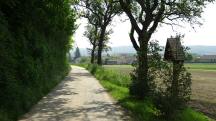  Blick auf die Wanderstrecke nach Lanzendorf 