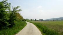  Blick auf die Wanderstrecke nach Lanzendorf 
