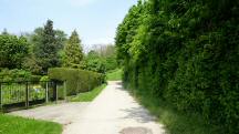  Blick auf die Wanderstrecke in Lanzendorf 