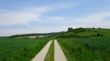  Blick auf die Wanderstrecke 