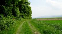  Blick auf die Wanderstrecke 