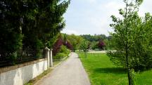  Blick auf die Wanderstrecke beim Schloss Totzenbach 