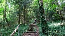  Wanderroute ber den Steingrabensteig  