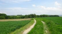 Blick auf die Wanderstrecke 