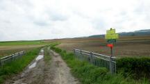  Blick auf die Wanderstrecke beim Wolfsbach 