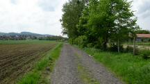  Blick auf die Wanderstrecke bei Pettenau 
