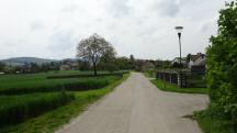  Blick auf die Wanderstrecke bei Pettenau 