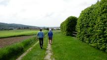  Blick auf die Wanderstrecke in Neukirchstetten 