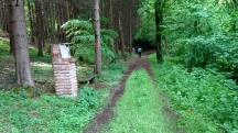  Wanderroute auf dem Dichterweg Kirchstetten 