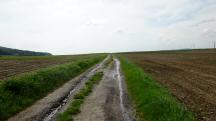  Blick auf die Wanderstrecke 