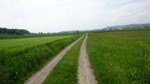  Blick auf die Wanderstrecke 