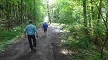  Blick auf die Wanderstrecke 