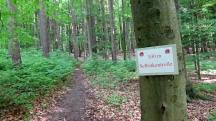  Blick zur Ankndigung der 3. SK 