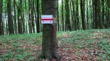  Blick zur 3. SK auf dem Eichberg 