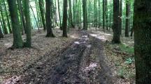  Blick auf die Wanderstrecke auf dem Eichberg 