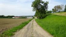  Blick auf die Wanderstrecke nach Blindorf 