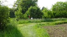  Blick auf die Wanderstrecke wieder beim Michelbach 