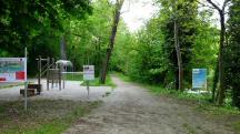 Blick auf die Wanderstrecke wieder im Park entlang des Michelbachs