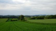  Fernblick nach Els 