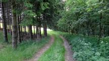  Blick auf die Wanderstrecke 