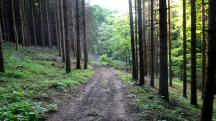  Blick auf die Wanderstrecke 