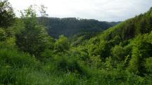  Blick ins Kremstal 