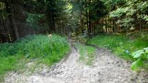  Blick auf die Wanderstrecke 