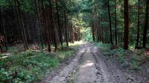  Blick auf die Wanderstrecke 