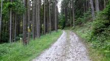  Blick auf die Wanderstrecke 